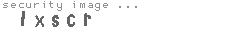 security image