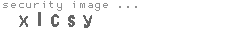 security image