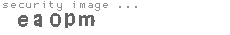 security image