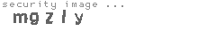 security image