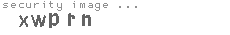 security image