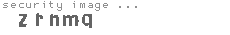 security image