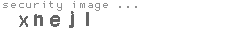 security image