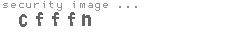 security image