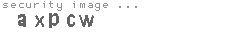 security image