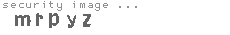 security image