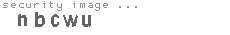 security image