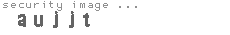 security image