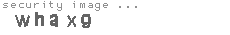 security image