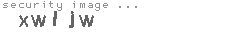 security image
