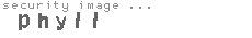 security image