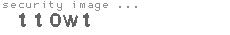 security image