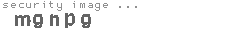 security image