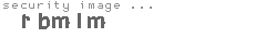 security image