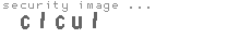security image
