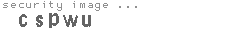 security image