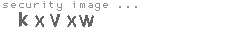 security image