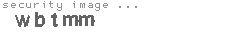security image