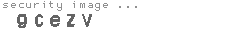 security image