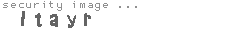 security image