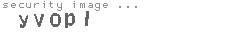security image