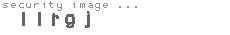 security image