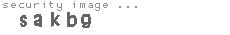 security image