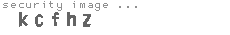 security image
