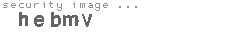 security image