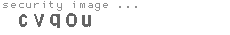 security image