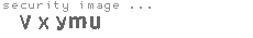 security image