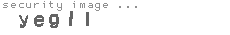 security image