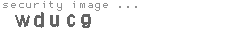 security image
