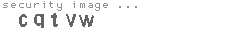 security image