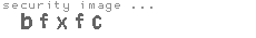 security image