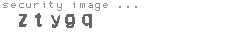 security image