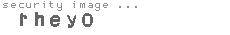 security image