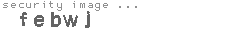 security image