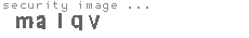 security image