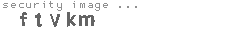 security image