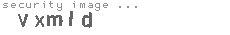 security image