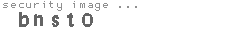 security image