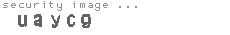 security image