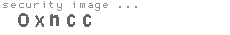 security image