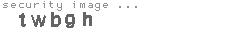 security image