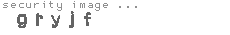 security image