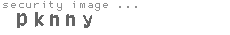 security image