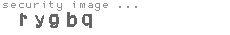 security image