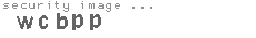 security image