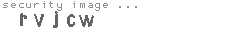 security image